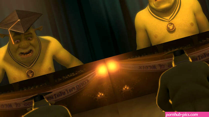 NM 273: Shrek the Third by JaneMJ on DeviantArt