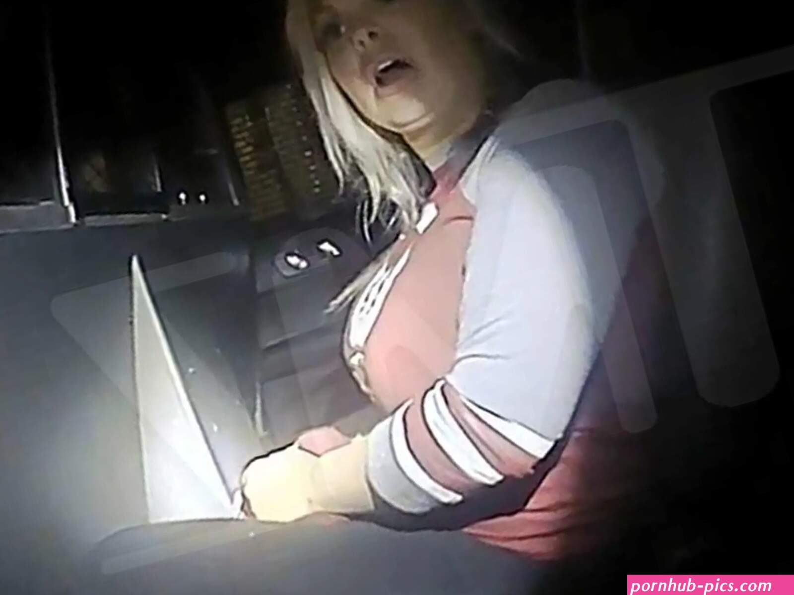 Porn Star Jesse Jane Arrested for Public Intoxication After Allegedly Peeing Pants
