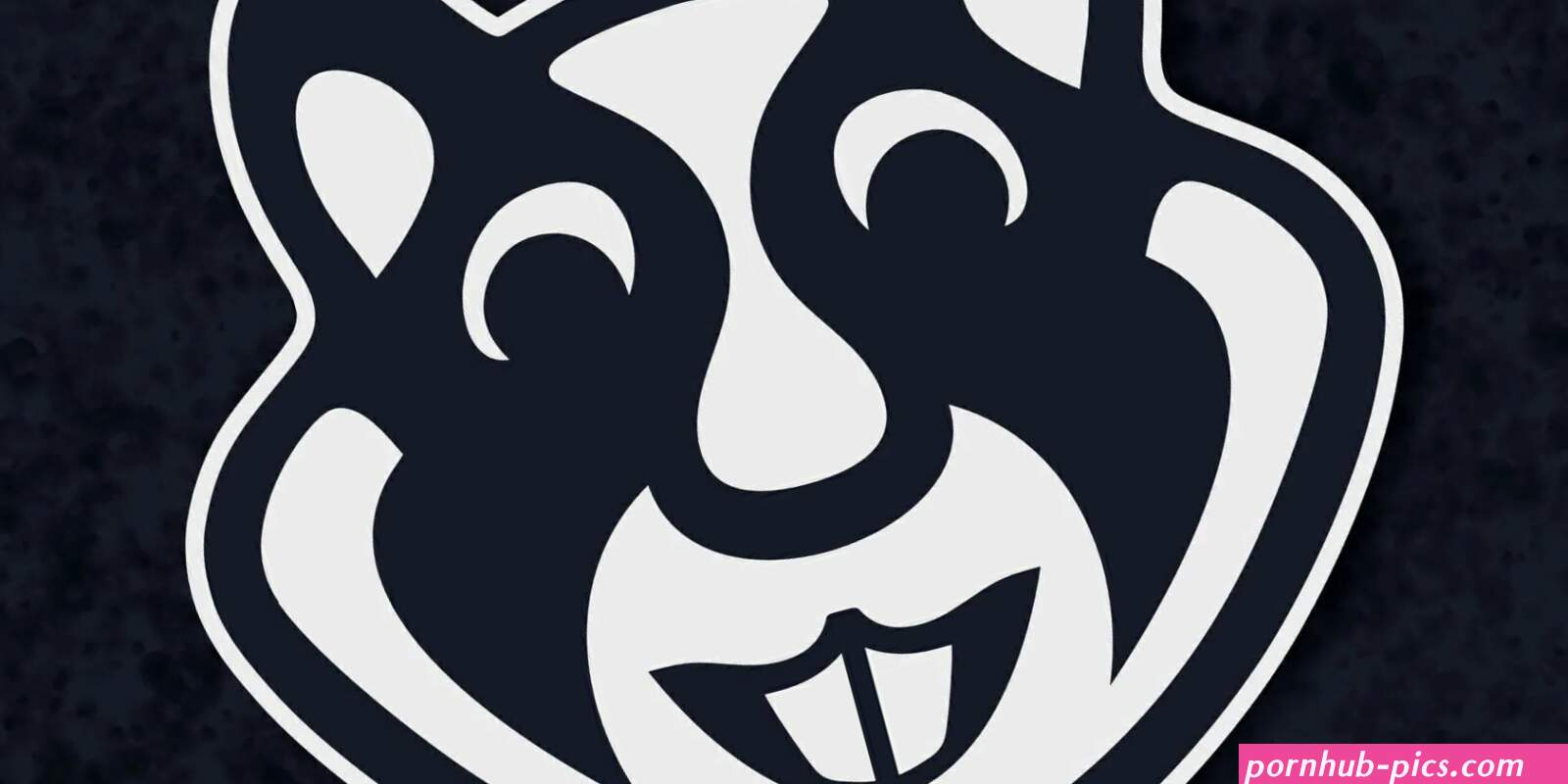 xHamster: 16 Fascinating Facts About the Popular Porn Site