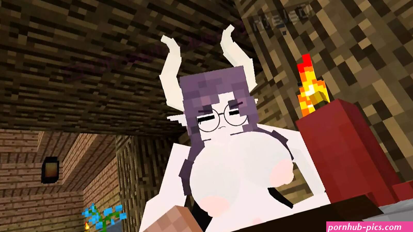 Minecraft Jenny Porn Videos
