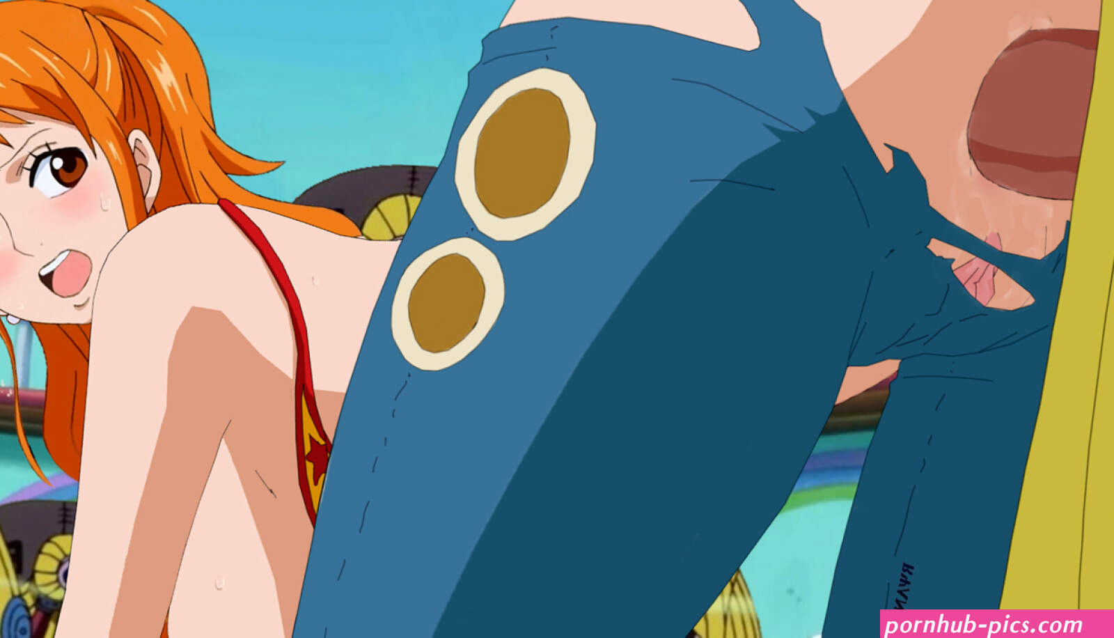one piece tashigi porno
