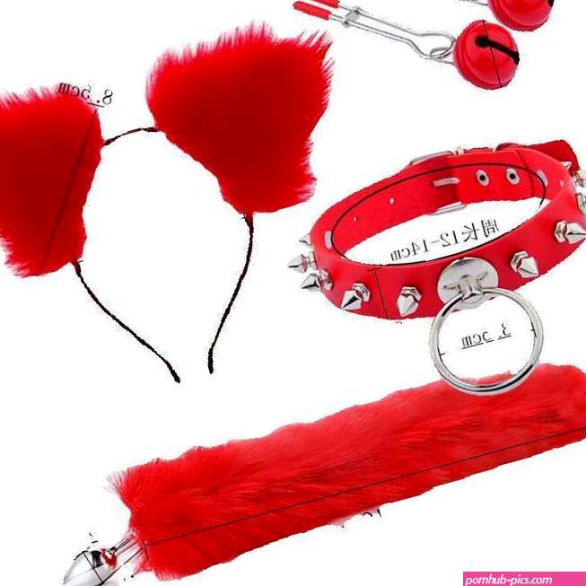 SM Sexy Four Piece Set With Anal Plug And Breast Clip Collar Cats Ears Steamed Cat Ear Shaped Bread Sex Toy For Men And Women From Crsex 30.12