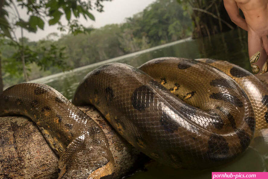 Naked snake worshiper offers himself as snake food by swiftjohn on DeviantArt