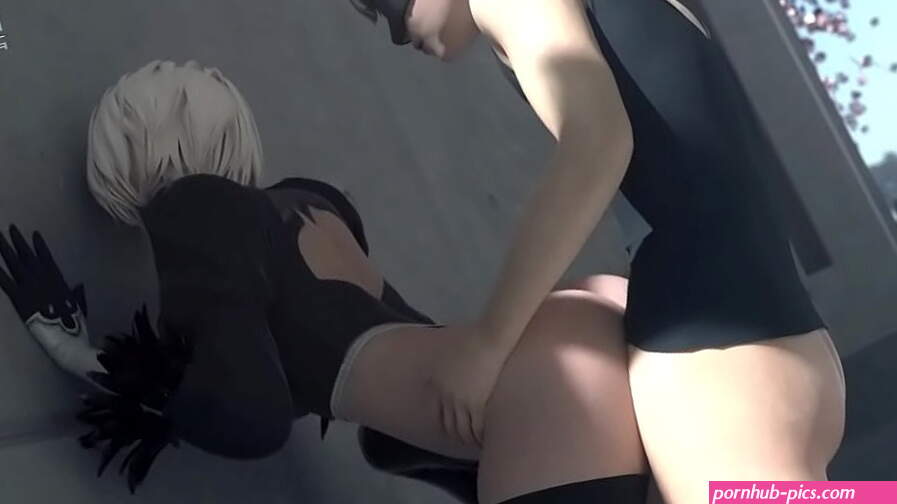 2B riding 9S big dicksound