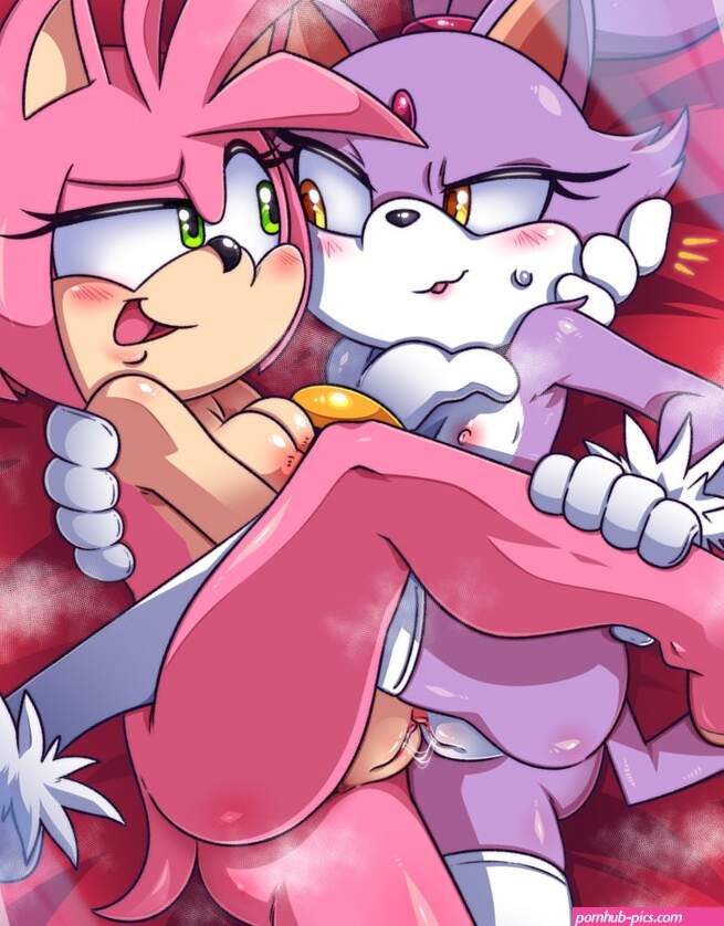 Amy Rose And Blaze The Cat sonic The Hedgehog series And Etc Created By Skajrzombie Yiff Party