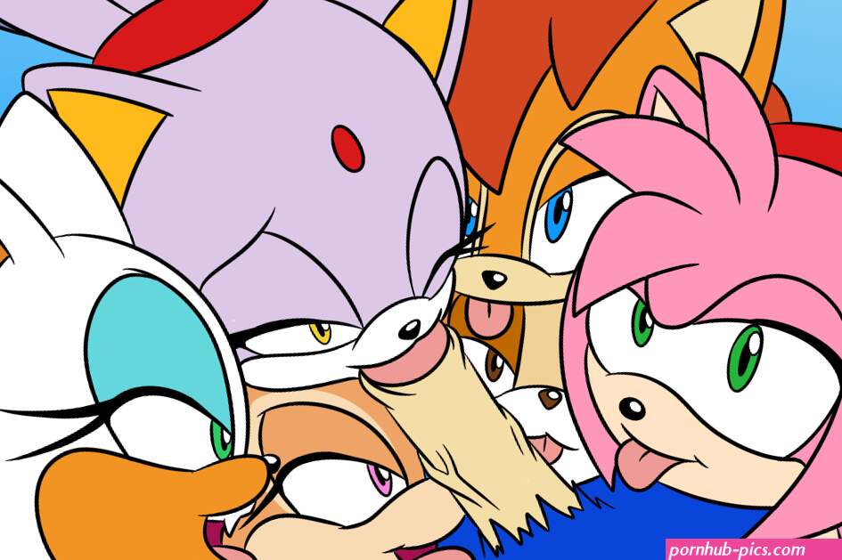 Post 5237813: AmyRose BlazetheCat RougetheBat SallyAcorn ShadetheEchidna SonictheHedgehog SonictheHedgehogseries Sonicguru VanillatheRabbit