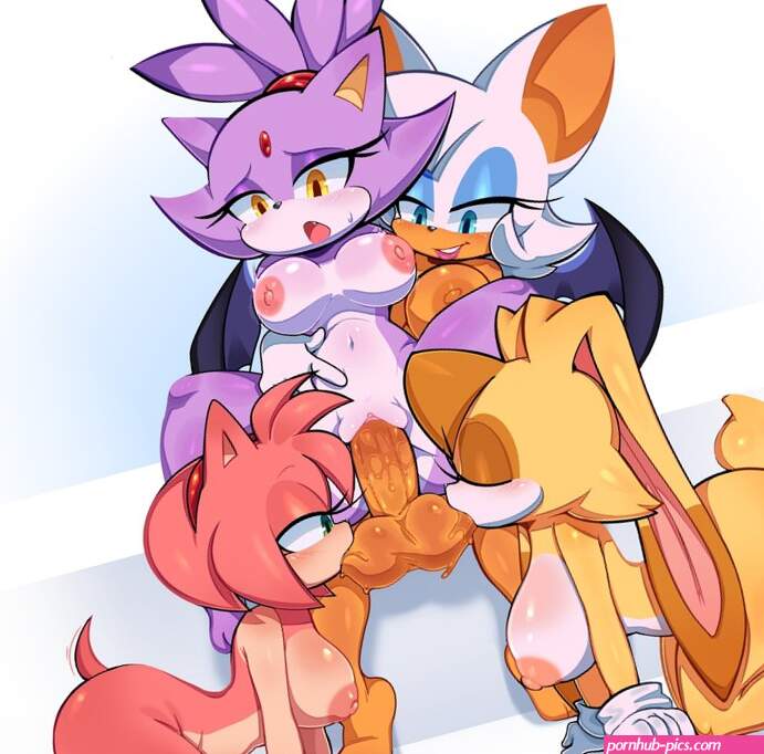 Amy Rose Blaze The Cat Rouge The Bat And Vanilla The Rabbit sonic The Hedgehog series And Etc Created By Ichig8miruku artist Yiff Party