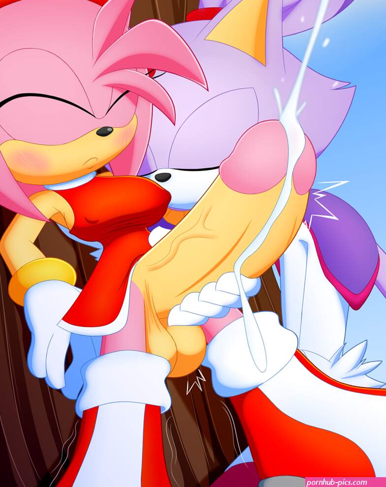 amy roseblaze the cat Hentai