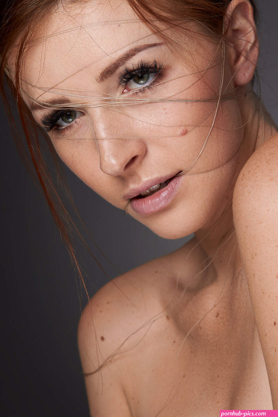 Dane Halo