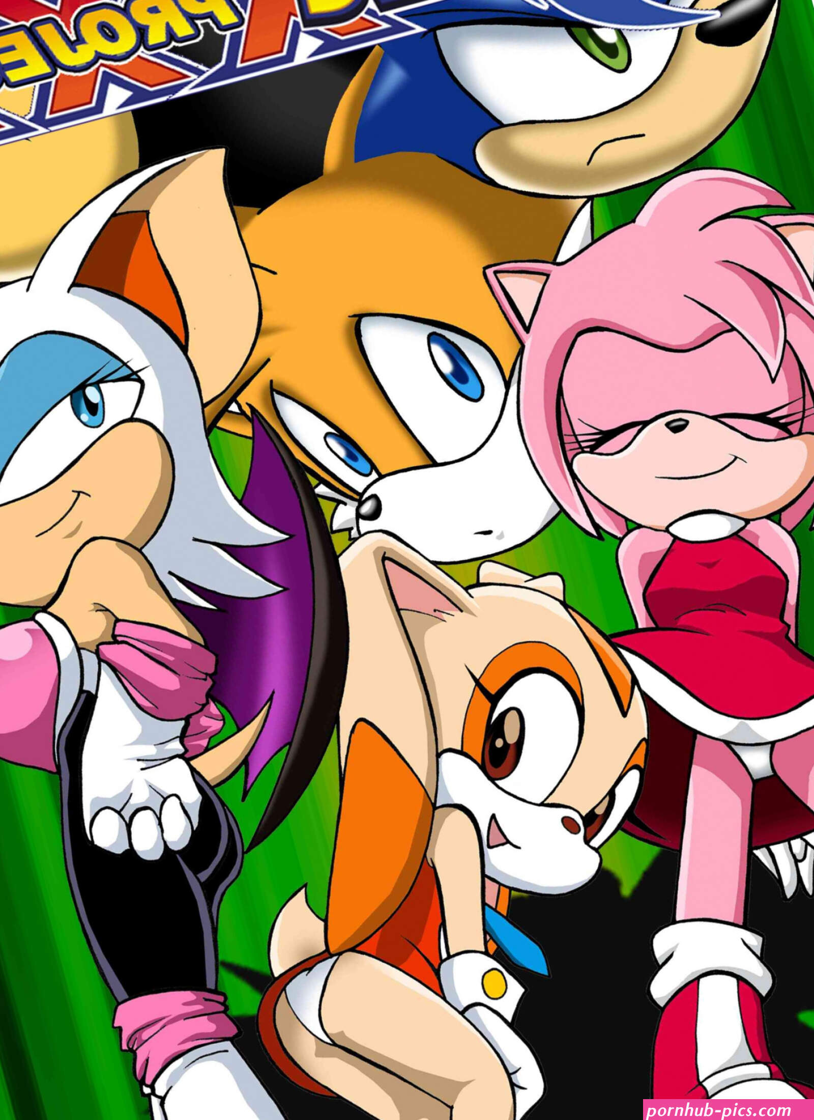 Sonic XXX Project