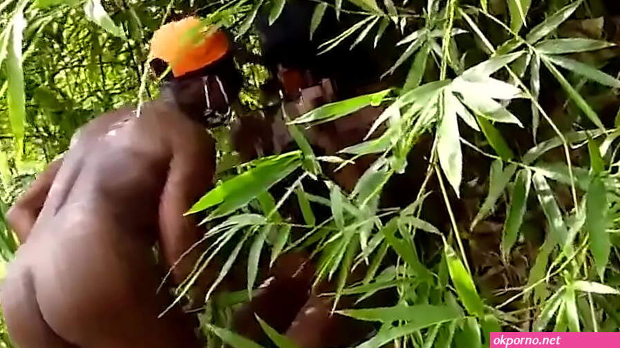 NOLLYPORN