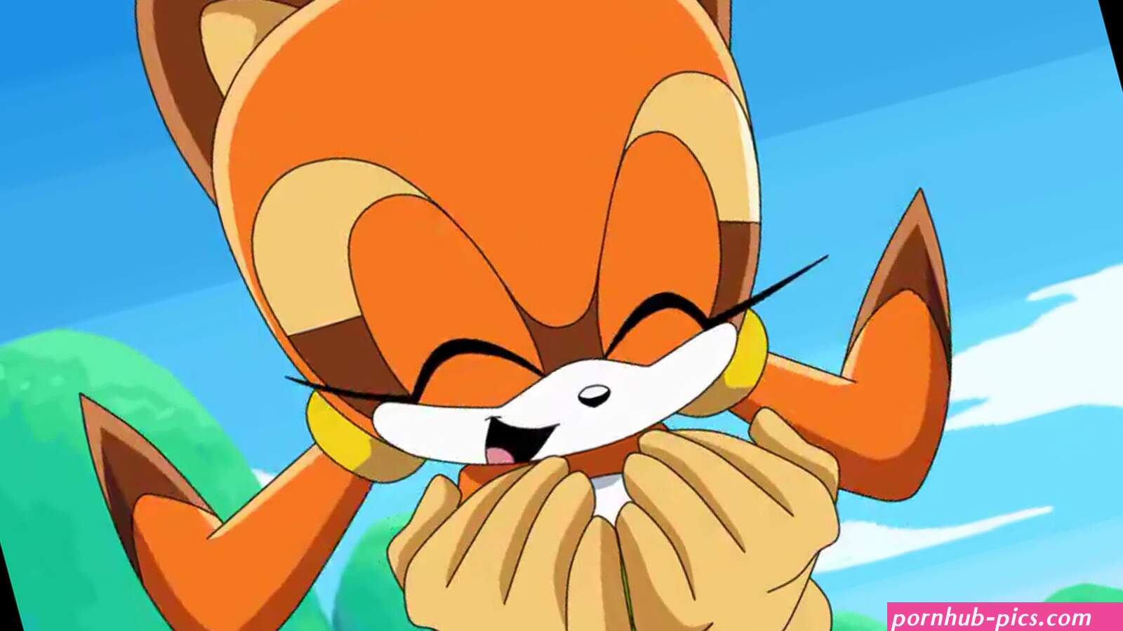 Marine the raccoon