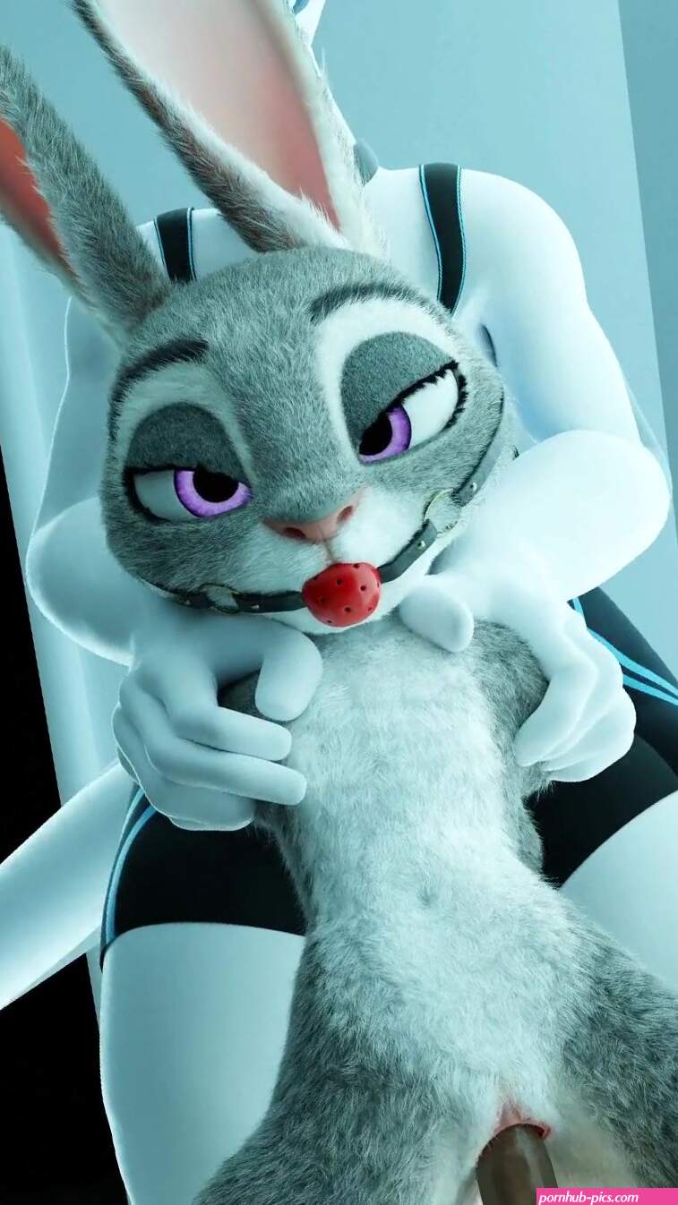 Judy hopps sex toy