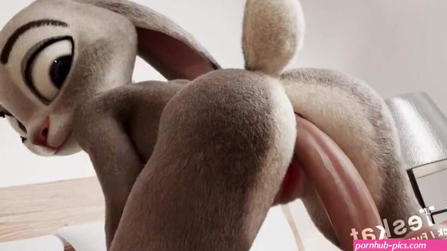 Judy Hopps reverse cowgirl position