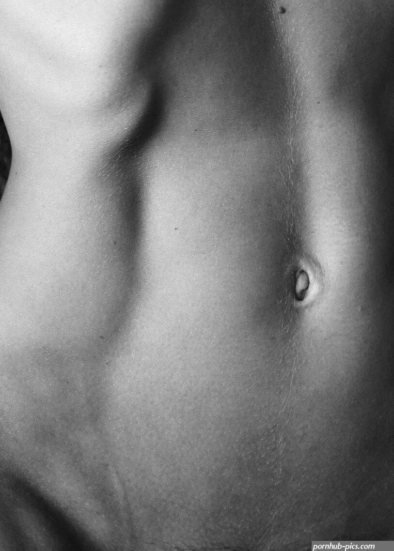 Lina linartica X