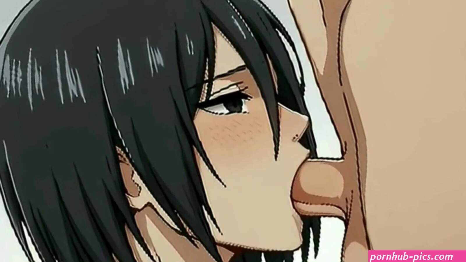 MIKASA FROM SHINGEKI NO KYOJIN BLOWJOB HENTAI ANIMATION