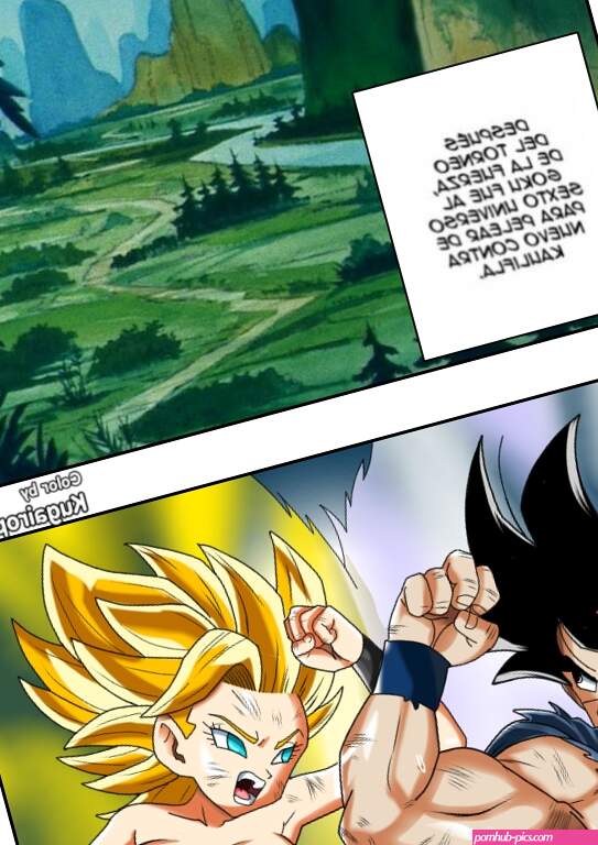 Pelea en el 6to Universo