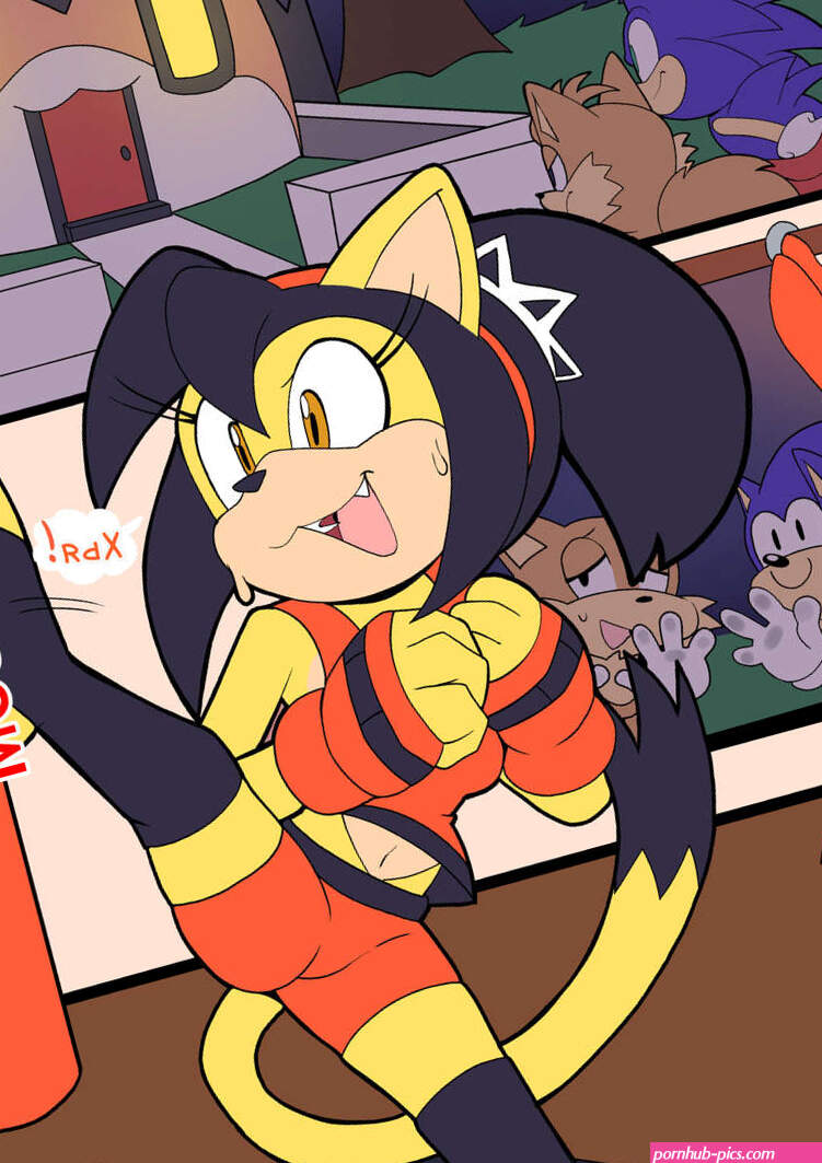 Sonic the Hedgehog... A sweet visit. Senshion