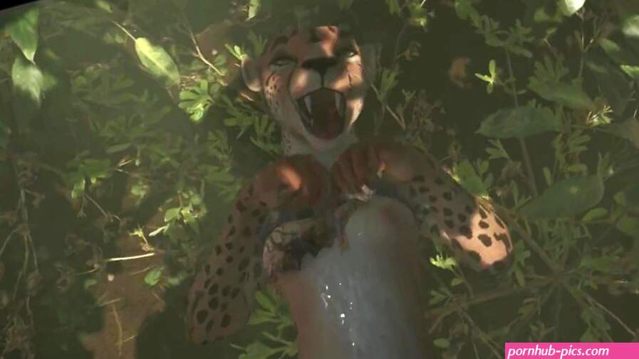 Human x furry animation wildlife game