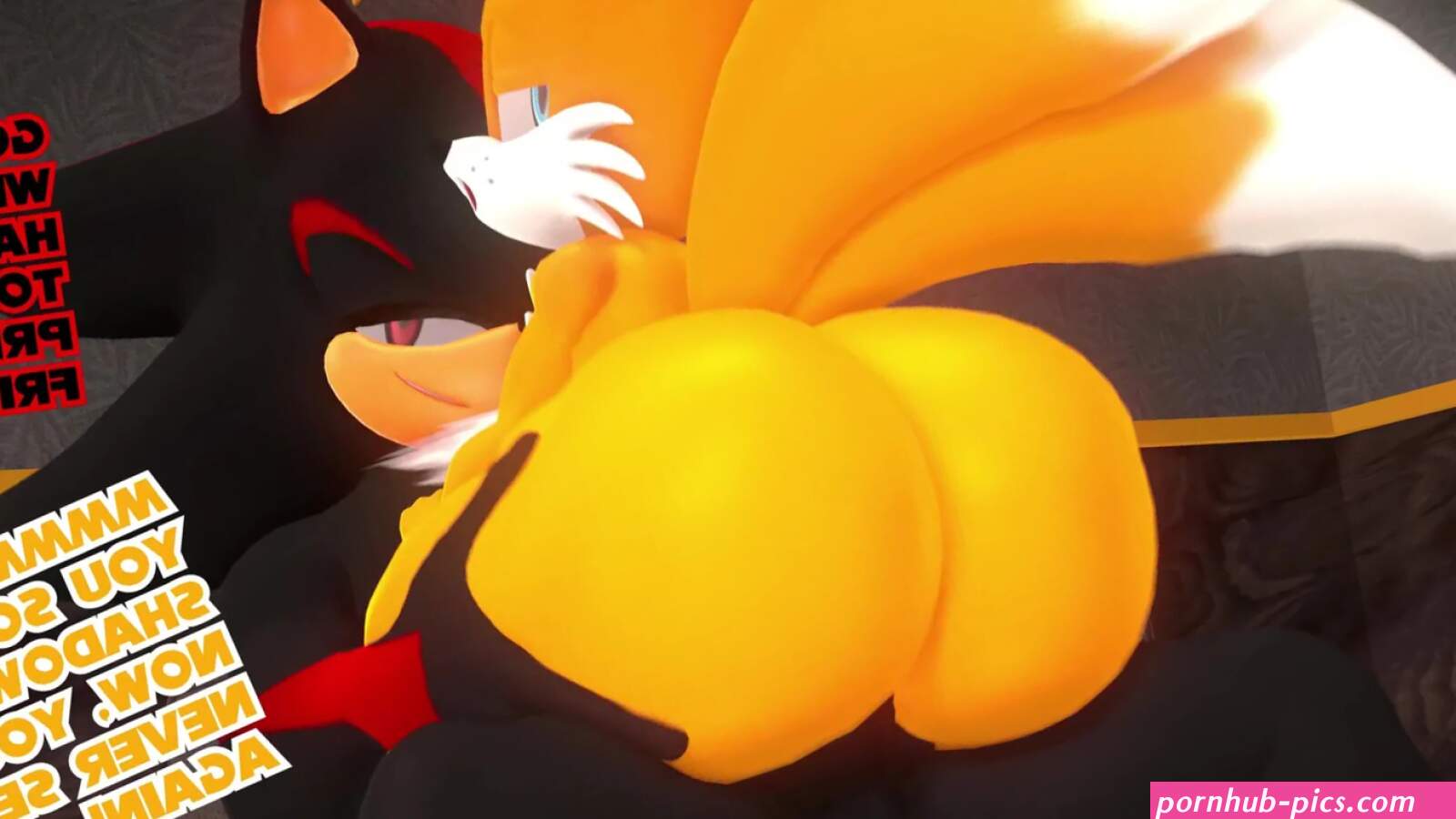 Shadow fucking Tails sound