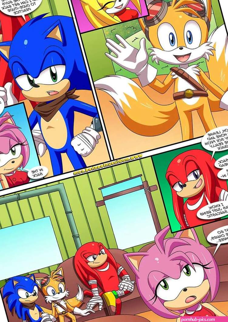 Porn comic Sexy Boom. Chapter 1. Sonic the Hedgehog. Palcomix. Sex comic and his friends