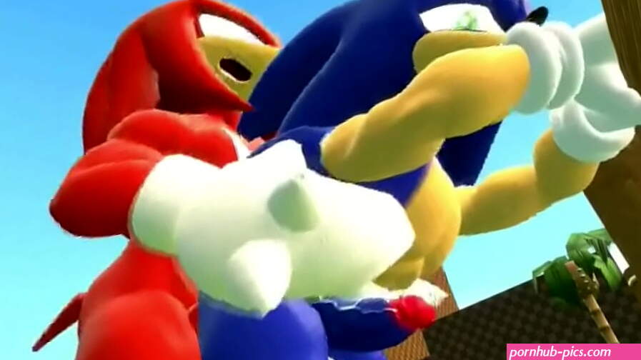 Sonic fucked by his friends