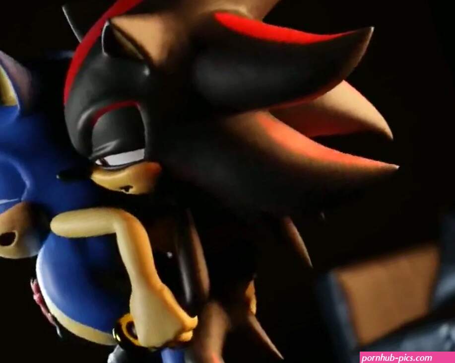 Shadow X Sonic