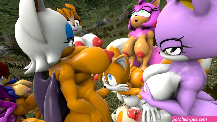 Yaoi pinup amy roseblaze the catcream the rabbitrouge the batsally acorntailstailskovanilla the rabbitwave the swallow