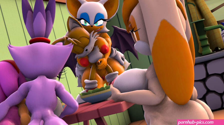 amy roseblaze the catrouge the batsonic the hedgehogtailsvanilla the rabbit