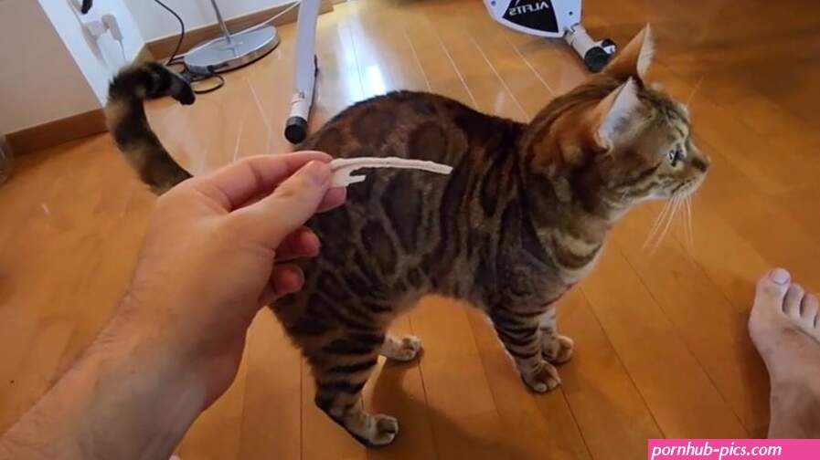 I got mad at you for rushing the furry pussy!