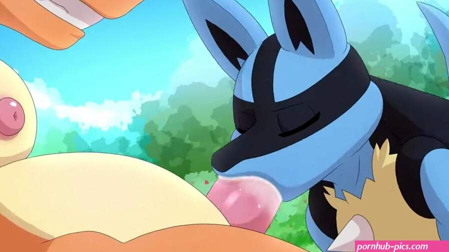 Lucario x charizard
