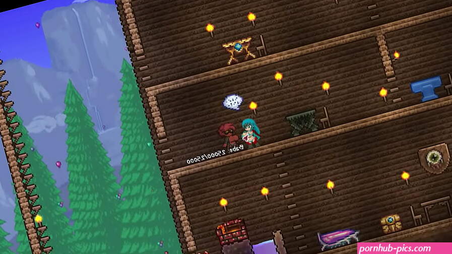 Terraria sex mod