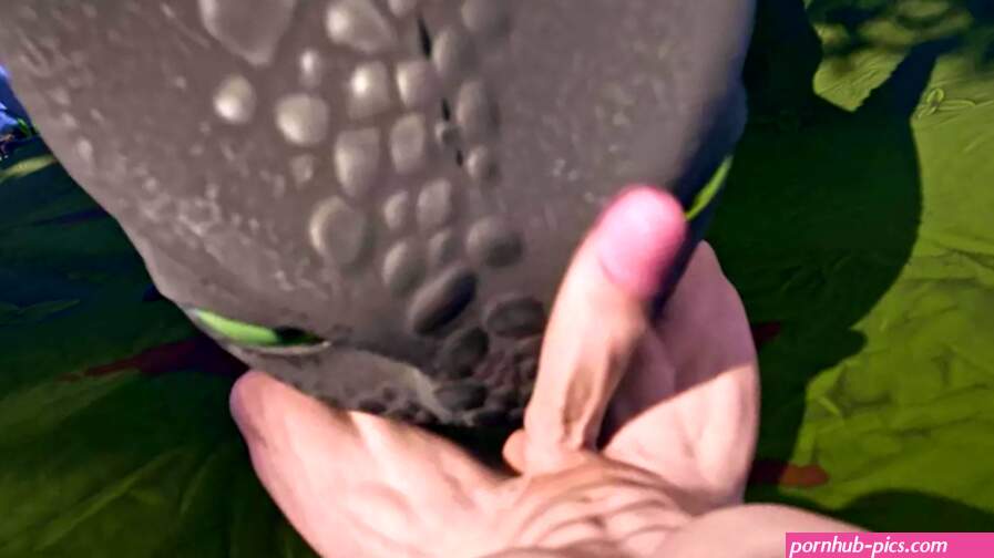 How to train your dragon
