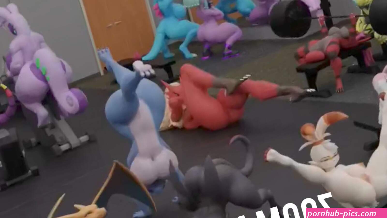Zoom at the gym : DivideByZero