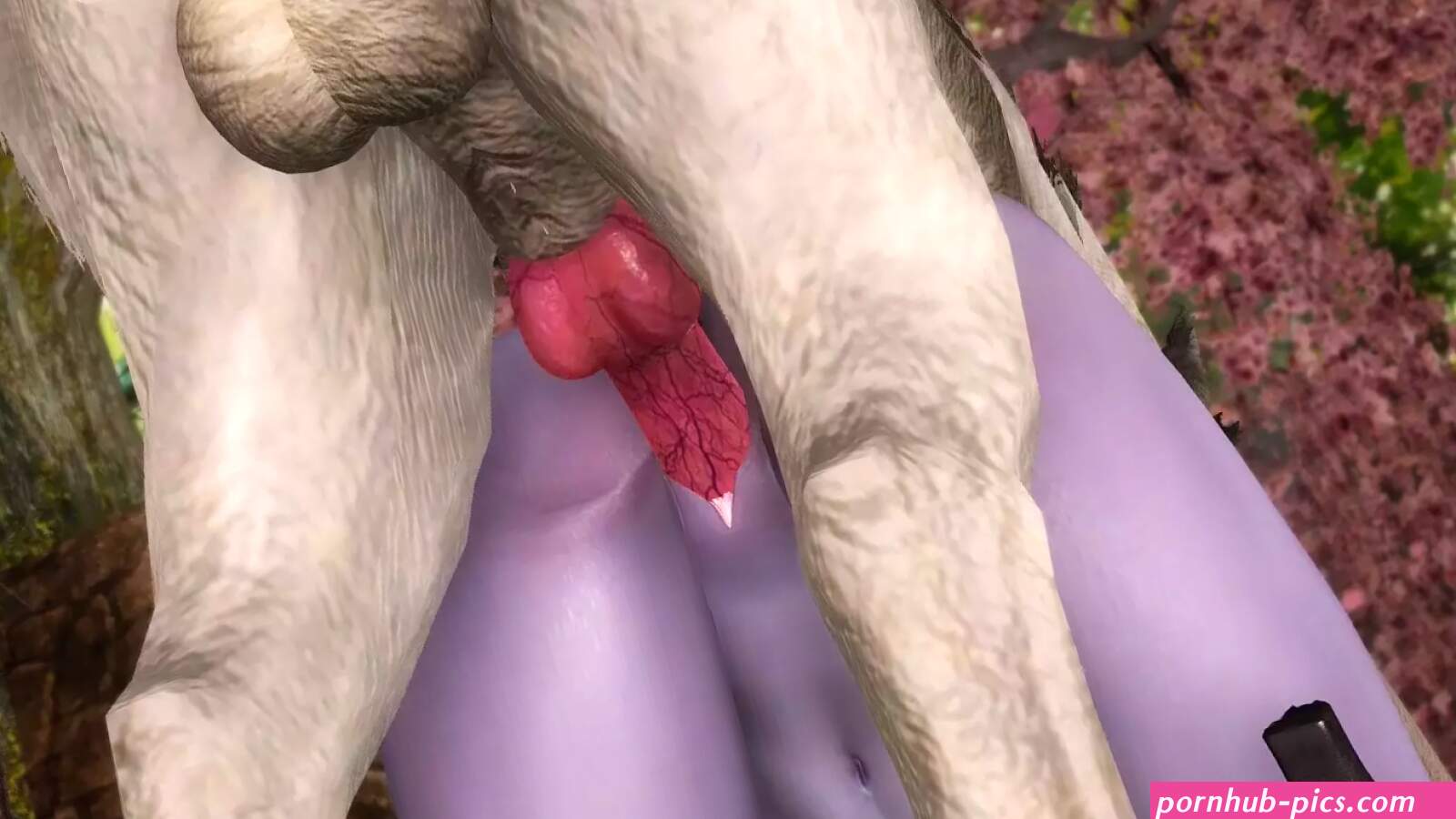 Sexy Dark Elf Gets Fucked By Dog
