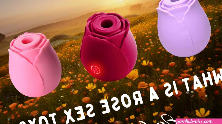 What Is a Rose Sex Toy?