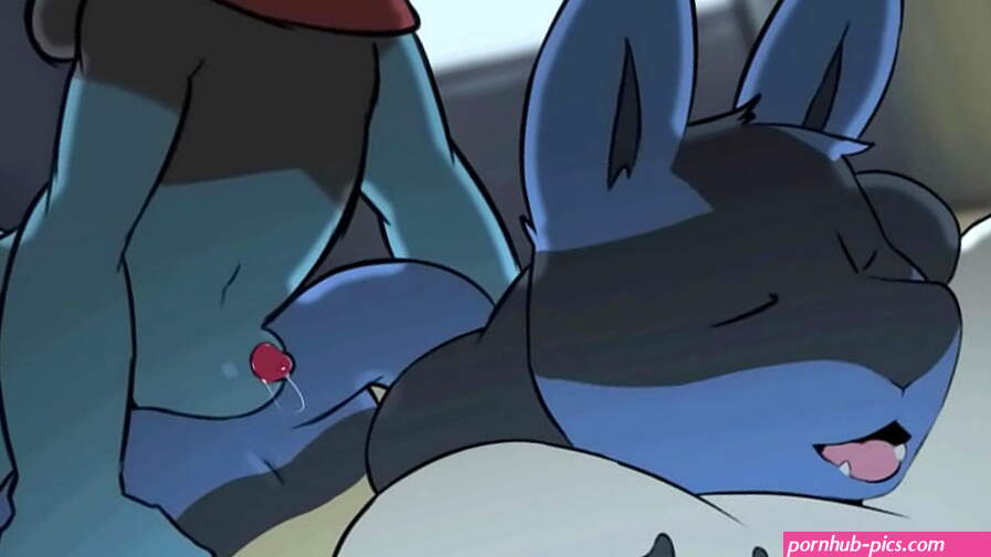 Pokemon Lucario Compilation
