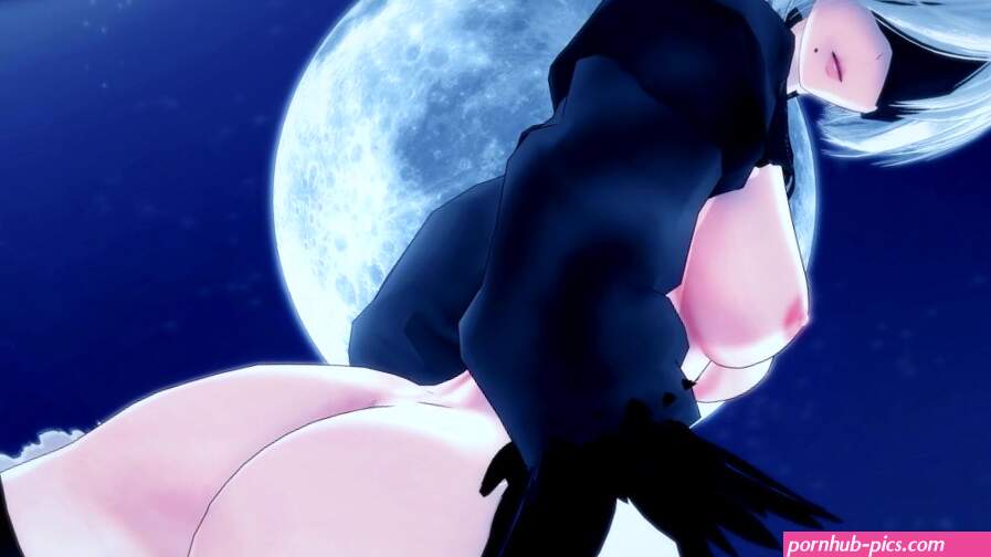 EROTIC TIME WITH 2B NIER AUTOMATA HENTAI
