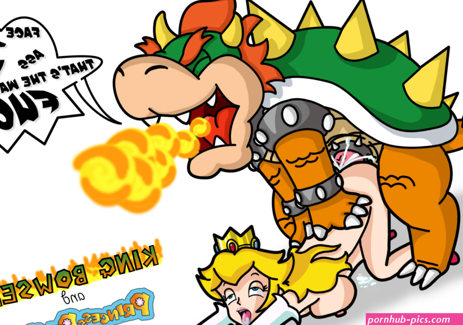 Post 81429: blargsnarf Bowser Koopa PrincessPeach SuperMarioBros.