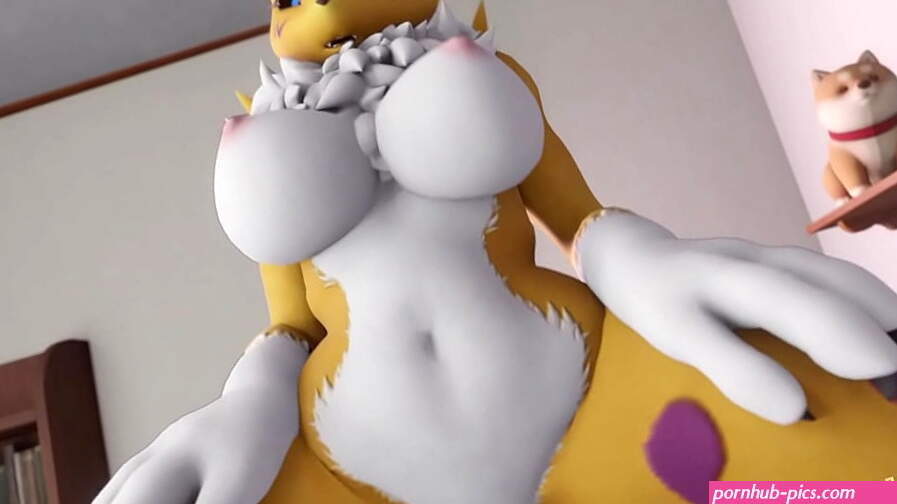 Renamon: Cowgirl