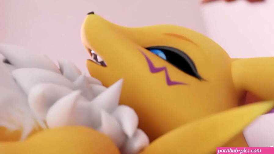 Renamon fucked good