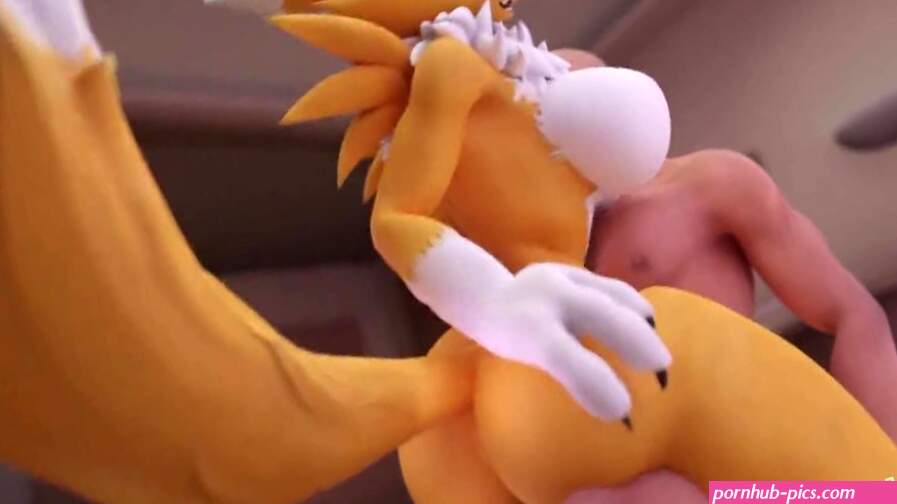 Renamon ride you hard