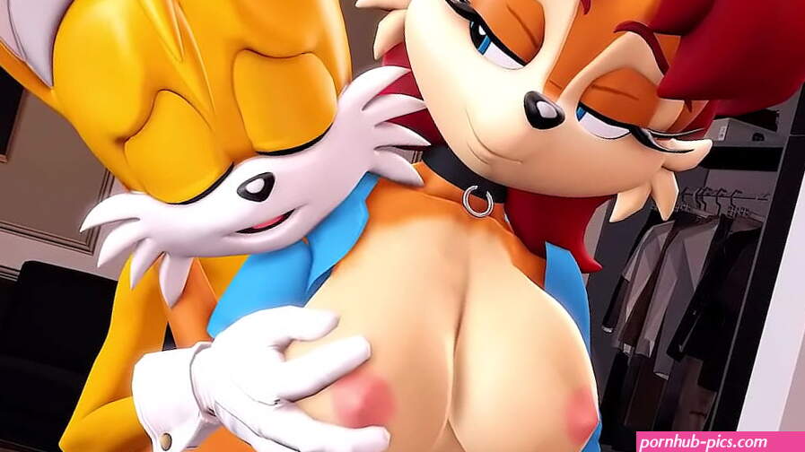Tails and Sally Hentype