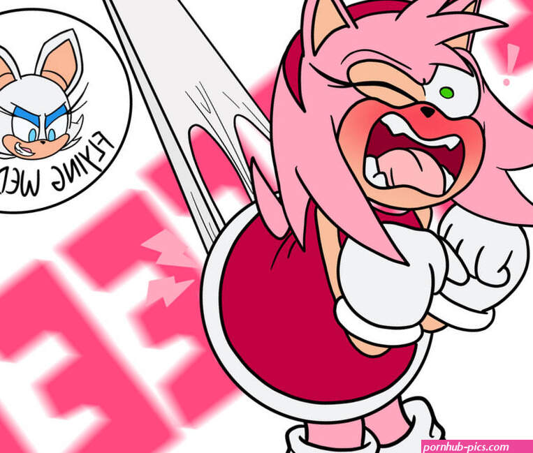 Amys Flying Wedgie by HornyPsyko on DeviantArt