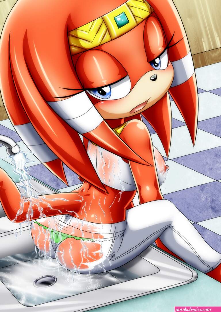 Post 2963026: bbmbbf PalComix SonictheHedgehogseries TikaltheEchidna