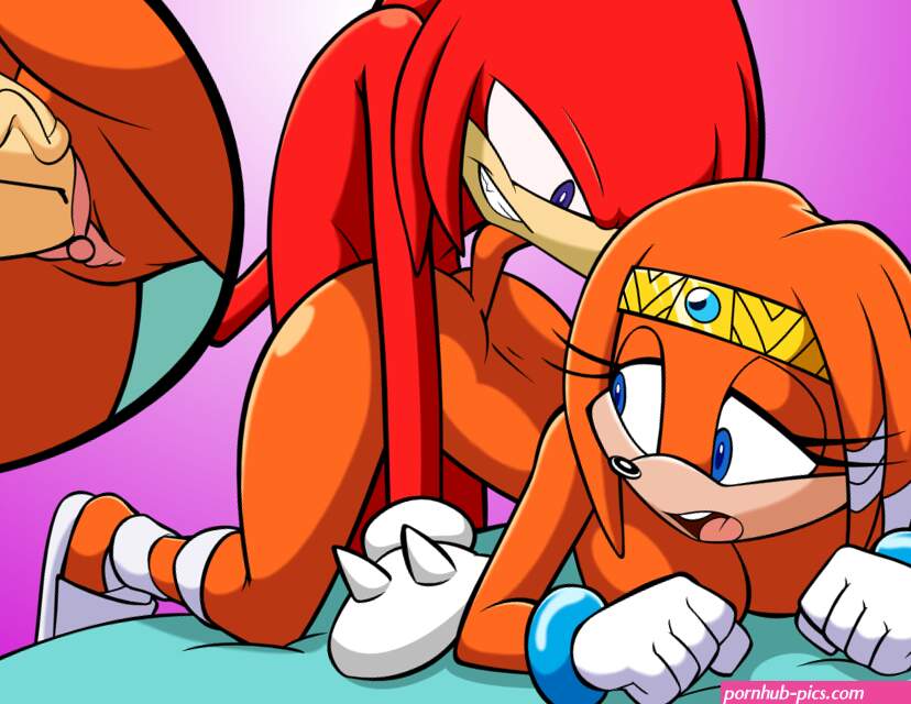 Post 1429914: adc1309 KnucklestheEchidna rule34rox SonictheHedgehogseries TikaltheEchidna