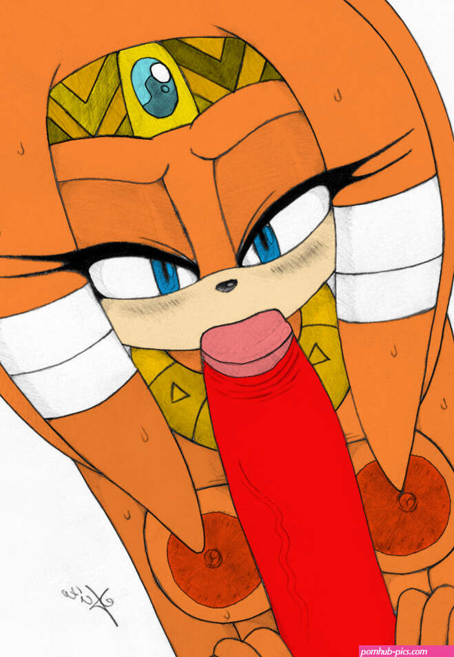 Post 1202158: excito KnucklestheEchidna SonictheHedgehogseries TikaltheEchidna