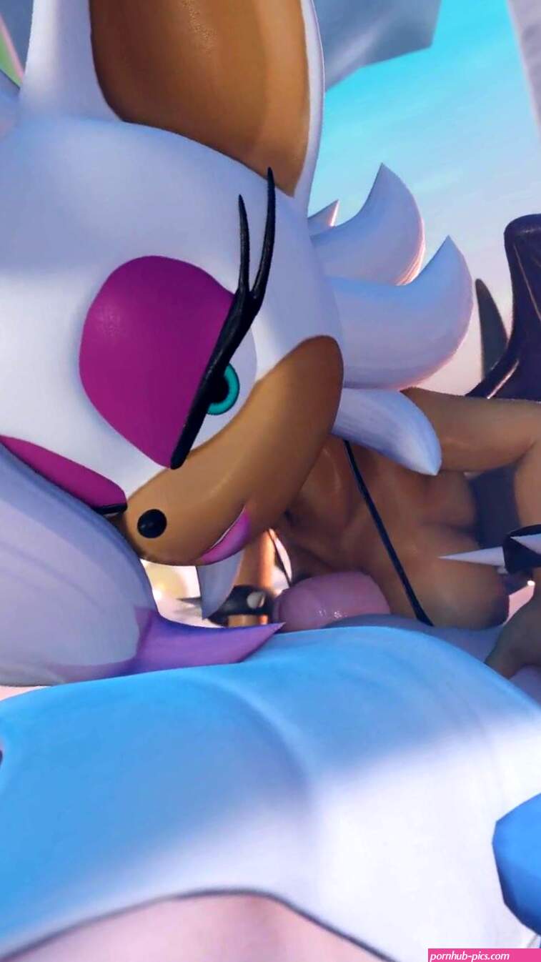 Rouge the Bat Titty fuck the Beach