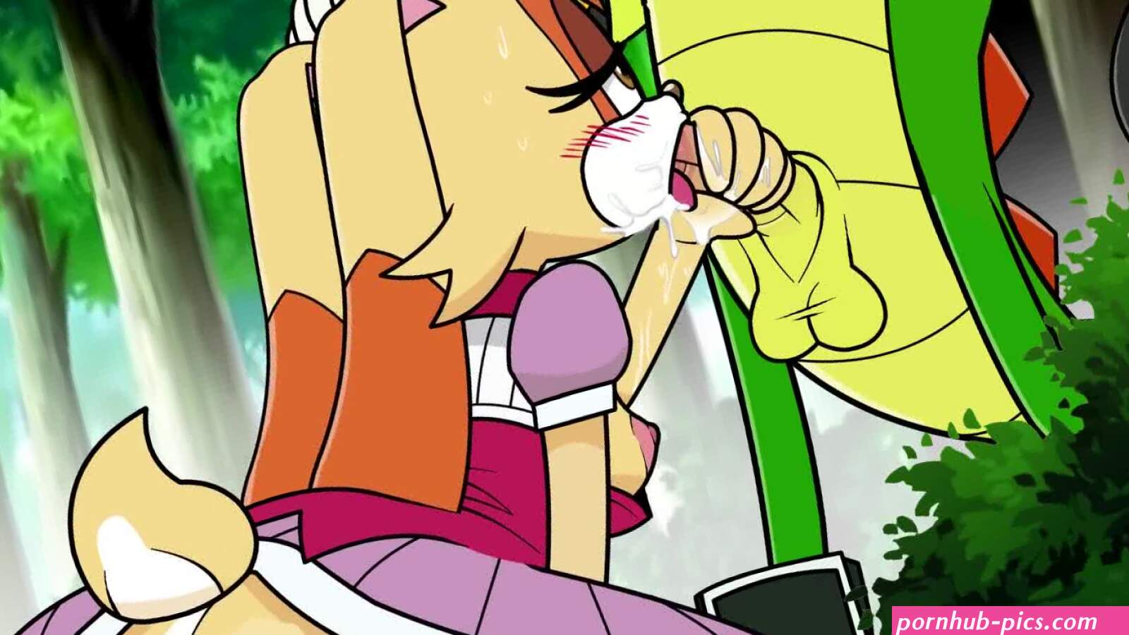 Sonic series Vanilla The Rabbit 1boy Animated