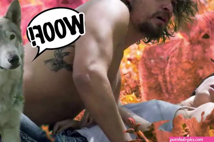 Whats Up With This Freaky Ass Wolf Spying on All The Sex in Yellowstone?